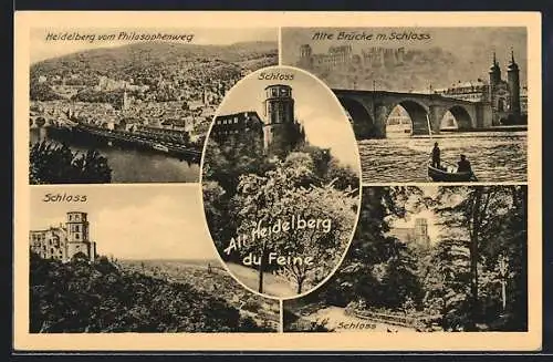 AK Alt Heidelberg, Teilansicht vom Philosophenweg, Schloss, Alte Brücke