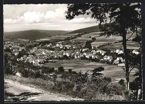 AK Frammersbach im Spessart, Teilansicht mit Baum