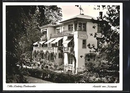 AK Badenweiler, Hotel Pension Villa Hedwig, Ansicht vom Kurpark