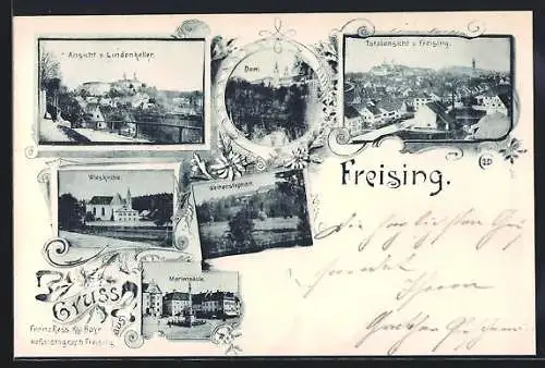 AK Freising, Ansicht vom Gasthaus Lindenkeller aus, Dom, Wieskirche