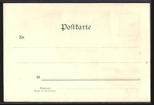 Lithographie Ansbach, Oberer Markt und St. Gumbertus-Kirche, Kgl. Schloss