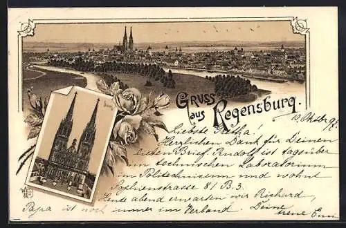 Lithographie Regensburg, Dom, Panorama