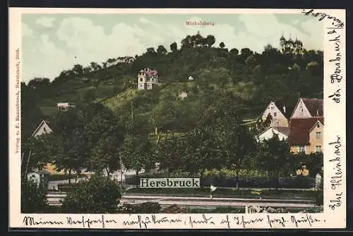 AK Hersbruck, Blick auf Michelsberg