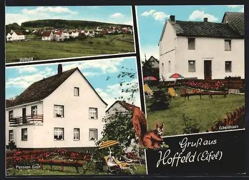 AK Hoffeld /Eifel, Pension Sion, Gästehaus und Ortsansicht