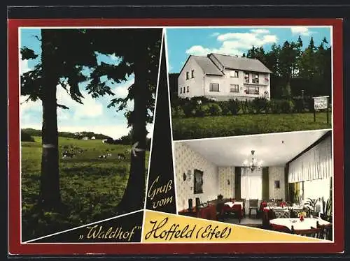 AK Hoffeld /Eifel, Privat-Pension Waldhof, Bes. J. Kettel