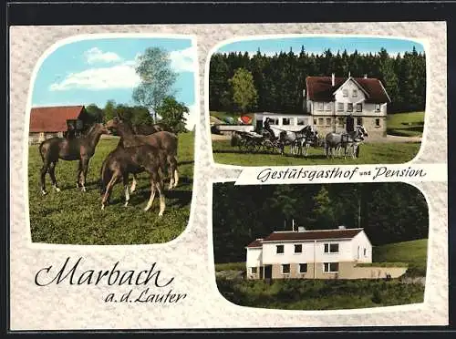 AK Marbach a. d. Lauter, Gestütsgasthof und Pension, Inh. Albert Eisenschmid