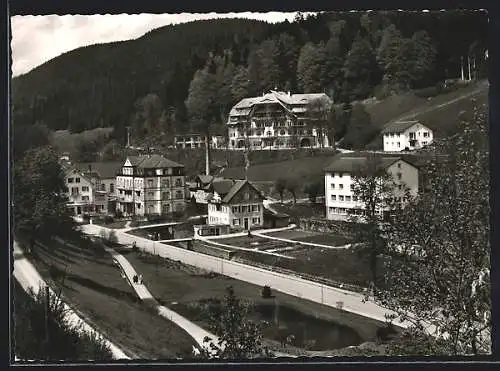 AK Bad Rippoldsau /Schwarzwald, Ortsansicht