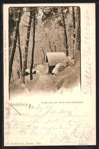 AK Heidelberg, Partie auf dem Wege zum Königstuhl