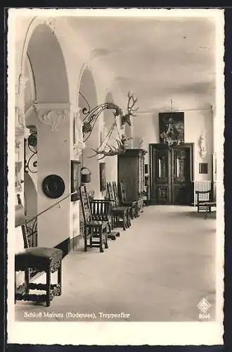 AK Mainau /Bodensee, Treppenflur im Schloss