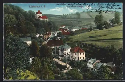 AK Liebstadt i. S., Pirnaische Strasse aus der Vogelschau