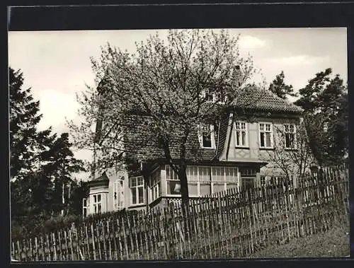 AK Catterfeld, Waldheim Maria, Erholungsheim ev. luth. Kirche