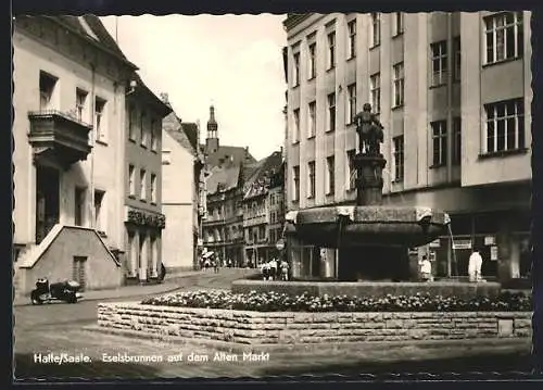 AK Halle /Saale, Eselsbrunnen auf dem Alten Markt