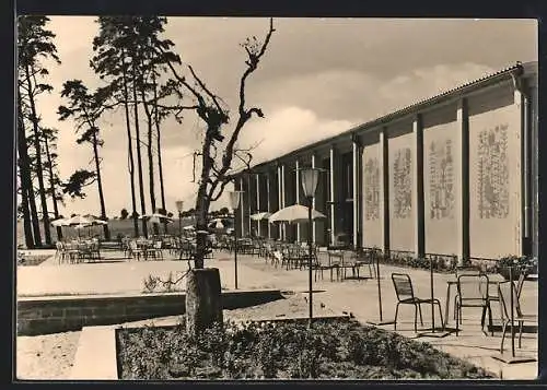 AK Klink /Waren-Müritz, FDGB-Urlaubersiedlung Völkerfreundschaft, Terrasse