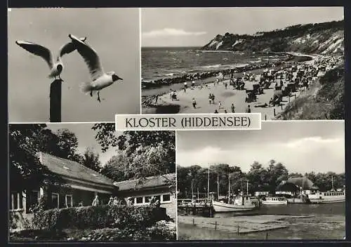 AK Kloster /Hiddensee, Strand, Gerhart-Hauptmann-Gedenkstätte, Hafen