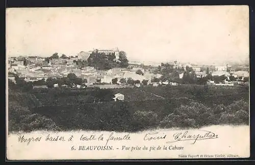 AK Beauvoisin, Vue prise du pic de la Cabane