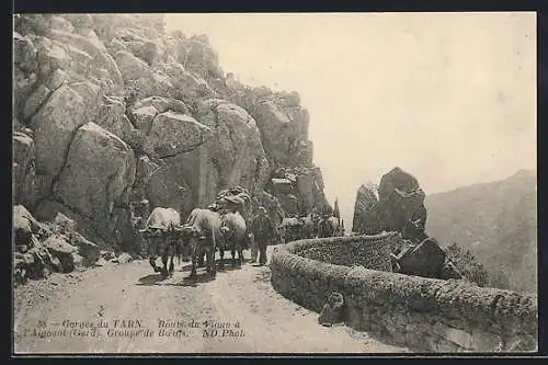 AK Val-d’Aigoual, Gorges du Tarn-Groupe de Boeufs