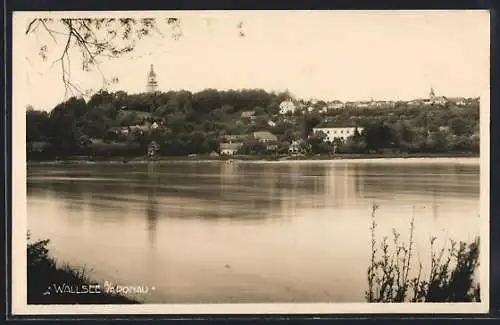 AK Wallsee an der Donau, Ortsansicht vom Wasser aus