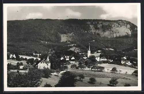 AK Radegund bei Graz, Ortsansicht aus der Vogelschau