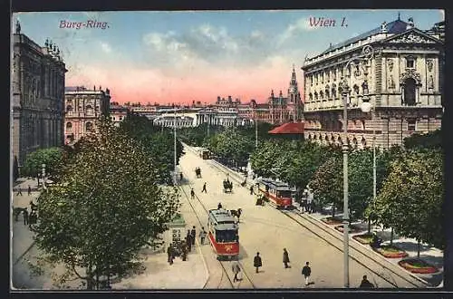 AK Wien, Burg-Ring, Blick die Allee entlang mit Strassenbahnen