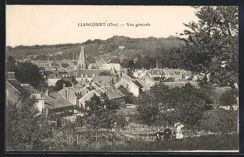 AK Liancourt, Vue gènèrale