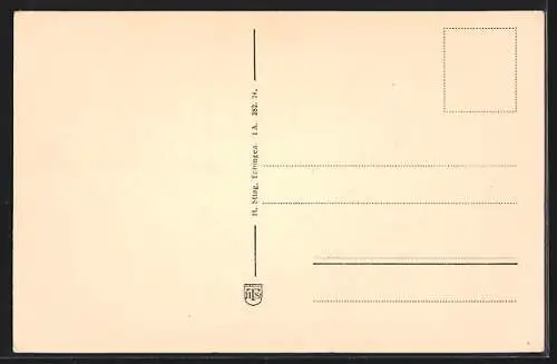 AK Lauffen a. N., Totalansicht