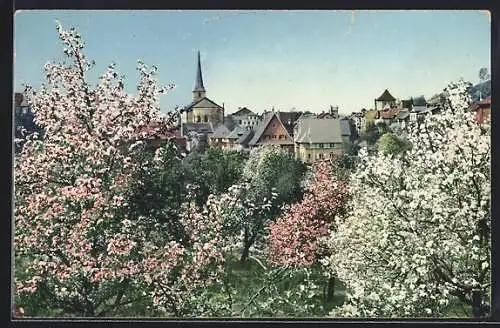 AK Bensheim / Bergstrasse, Ortspartie zur Frühjahrszeit