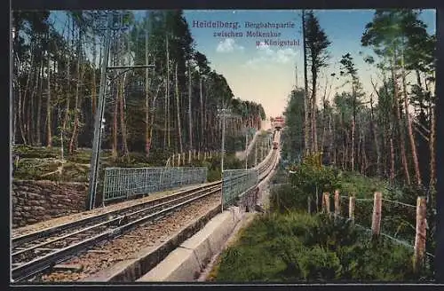 AK Heidelberg, Bergbahnpartie zwischen Molkenkur und Königstuhl