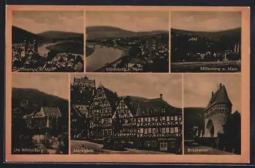 AK Miltenberg, Panorama, Marktplatz, Brückentor