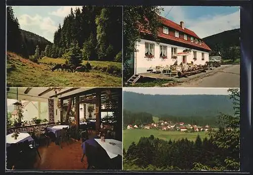 AK Schönegründ /Schwarzwald, Ortsansicht und Pension Vergiss mein nicht