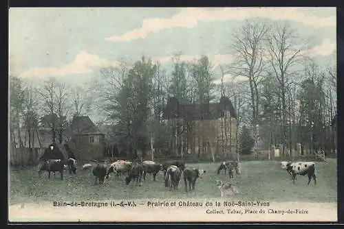 AK Bain-de-Bretagne, Prairie et Chateau de la Noe-Saint-Yves