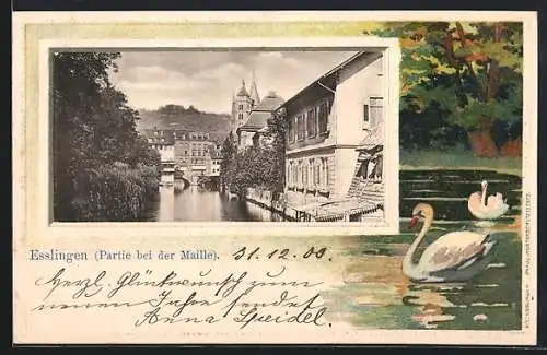 Passepartout-Lithographie Esslingen / Neckar, Partie bei der Maille, Uferpartie mit Schwänen