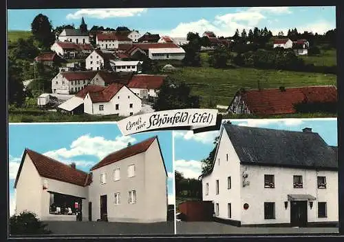 AK Schönfeld /Eifel, Gasthaus, Geschäft und Ortsansicht