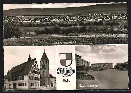 AK Nellingen / Fildern, Gesamtansicht, Rathaus, Kirche und Parksiedlung