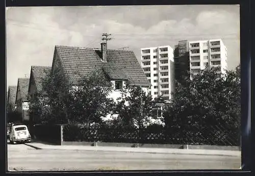 AK Steinberg / Dietzenbach, Strassenpartie mit Wohnhäusern