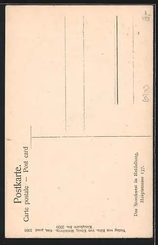 AK Heidelberg / Neckar, Storchennest in der Hauptstrasse 137