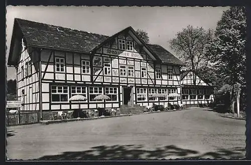 AK Neuhaus / Solling, Hotel Brauner Hirsch