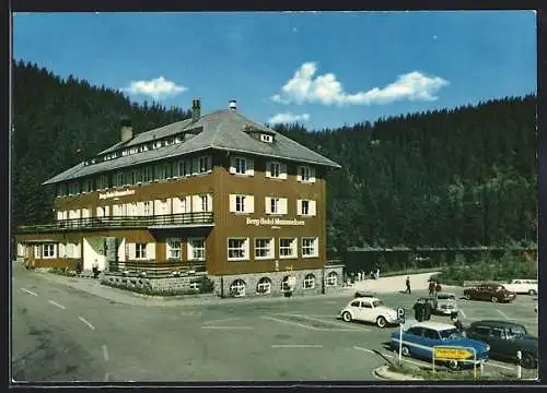 AK Seebach / Schwarzwald, Strassenpartie am Hotel am See