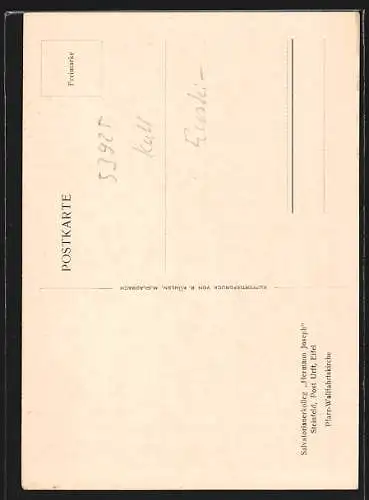 AK Steinfeld / Eifel, Pfarr-Wallfahrtskirche