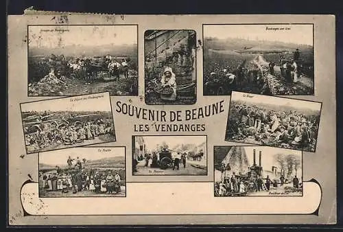 AK Beaune, Souvenir de Beaune, Les Vendanges avec scènes de vendangeurs et activités viticoles