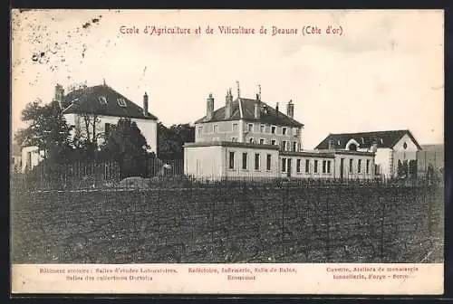 AK Beaune, École d`Agriculture et de Viticulture avec bâtiments scolaires et installations vinicoles