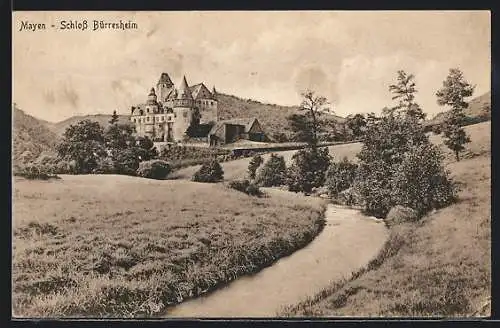 AK Mayen, Schloss Bürresheim mit Fluss u. Umgebung