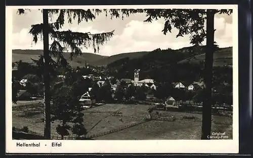 AK Hellenthal /Eifel, Gesamtansicht mit Bergpanorama