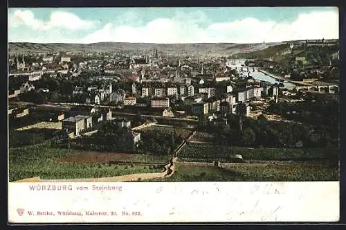 AK Würzburg, Gesamtansicht, Blick vom Steinberg