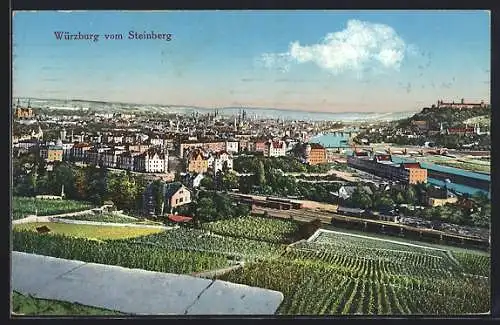 AK Würzburg, Blick auf den Ort vom Steinberg