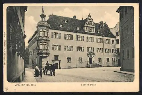 AK Würzburg, Bischöfl.Palais mit Kutsche