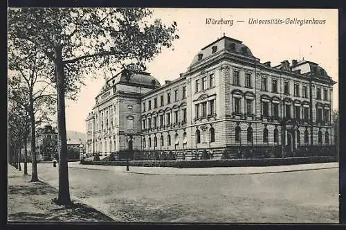 AK Würzburg, Universitäts-Collegienhaus mit Strasse