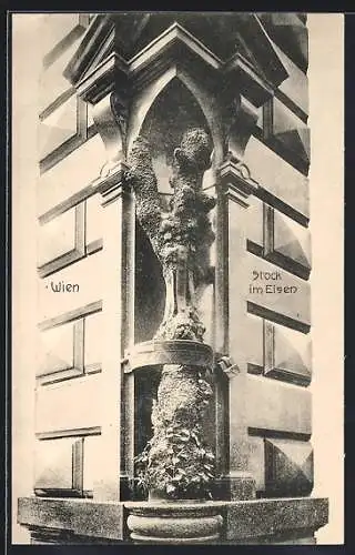 AK Wien, nahe Ansicht des Stock im Eisen