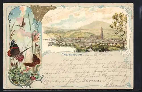 Lithographie Freiburg / Breisgau, Schmetterlinge, Panoramaansicht