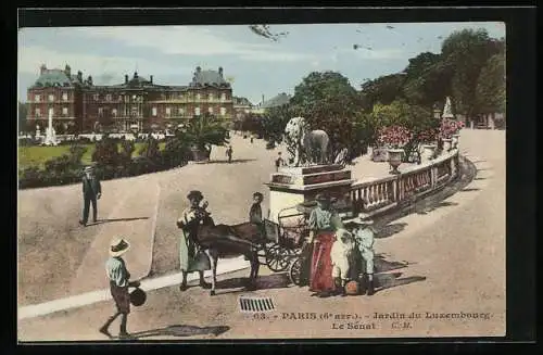 AK Paris, Jardin du Luxembourg, Le Sénat