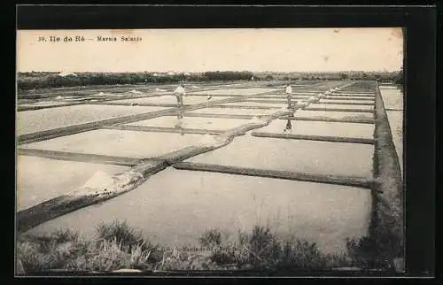 AK Ile de Ré, Marais Salant